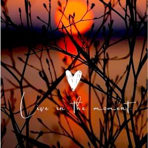 Meet your Posher, Ana